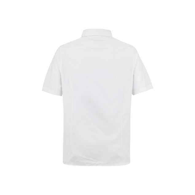 Camisa-Mad-Panda-De-Vestir-Manga-Corta-Para-Hombre-MPC-0052C