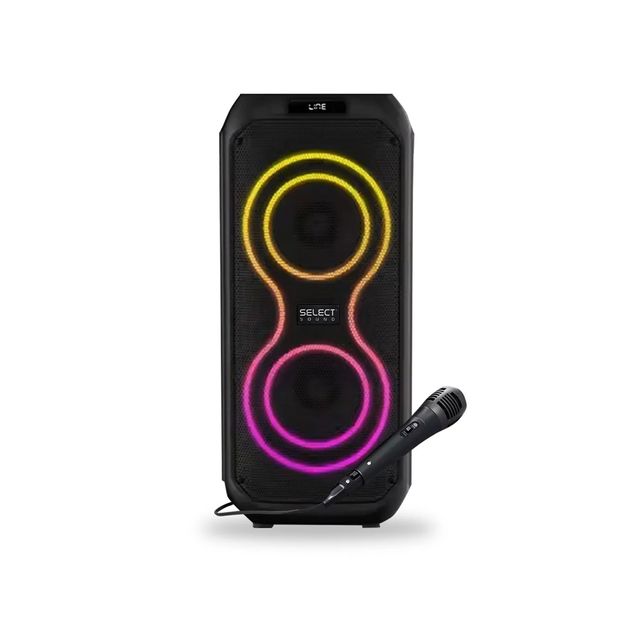Bafle-Select-Sound-2x8--Flex-BT2028